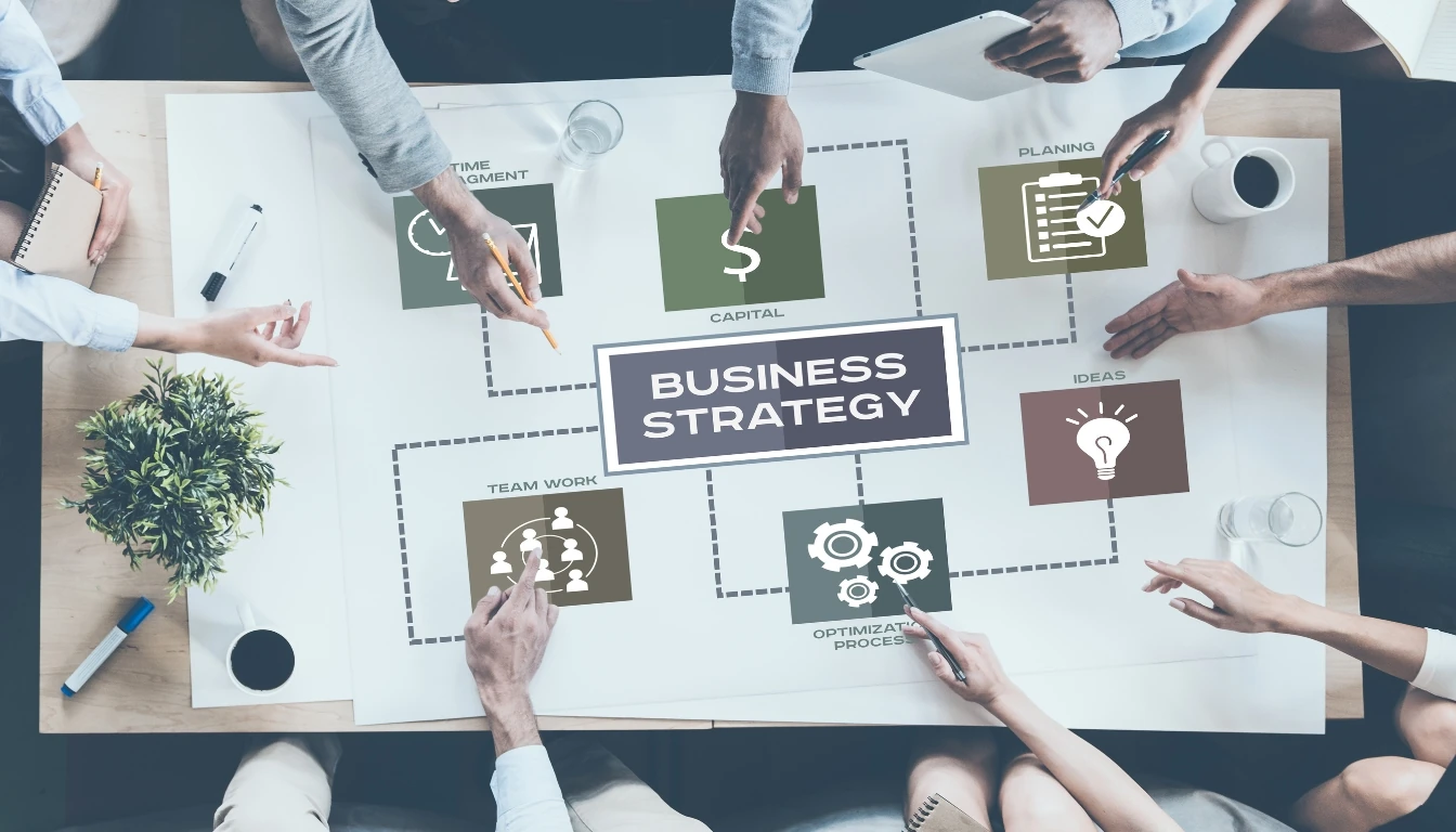 Consulenze web marketing Pavia