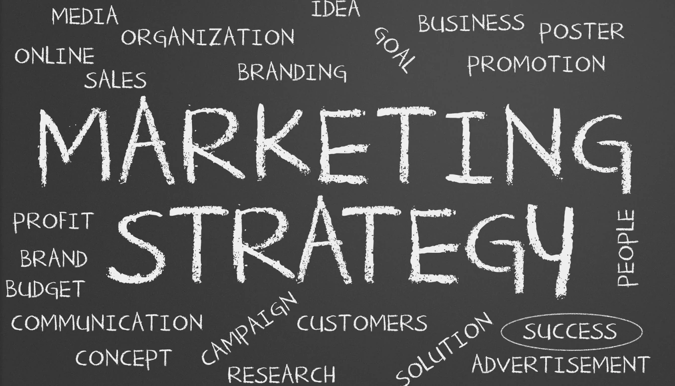 Consulenze web marketing Pavia
